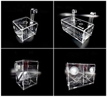 Peacock fish breeding box incubation box acrylic fish tank isolation box ovipositor fish egg breeding box fish shrimp delivery room