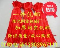Egg Garlic Plastic Mesh Pocket Mesh Bag Food Pang Chestnut Crab Walnut fruit Fruit with buckle Wholesale