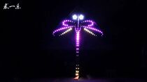 Beijing luminous kite lantern begging Yile 2020 original classic reproduction 3 flat 4 flat 6 flat Dragonfly luminous kite