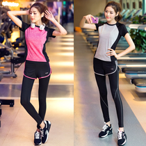 Yoga clothes women autumn and winter gym sports suits beginner quick-drying clothes sexy fashion professional running clothes thin