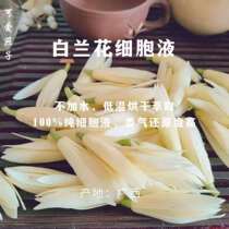2021 Guangxi Magnolia White Orchid cell sap 500ml60 yuan 1000ml110 yuan