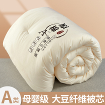 Class A Soybean Fiber Summer Cool Quilt Winter Quilted by Cotton Thickened Warm Quilt Core Single Spring Autumn Quilt by Four Seasons