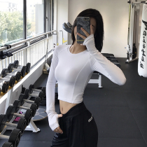 Sports blouse womens tight Sexy Slim yoga clothes quick-drying T-shirt Net red running fitness clothes long sleeves spring and autumn