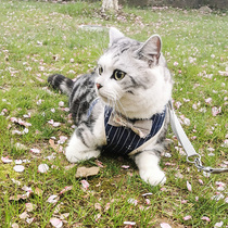 Kitty Traction Rope Walking Cat Rope Slip Cat Rope Vest Style Anti-Earning Cute Item Ring Chest Brace Walking Dog Dog Special