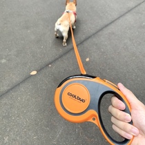 Dog automatic telescopic leash dog skating small medium-sized large dog explosion-proof Chai dog walking dog rope pet