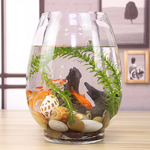 Creative desktop fish tank Ecological round glass goldfish tank Turtle tank Mini small landscaping household aquarium
