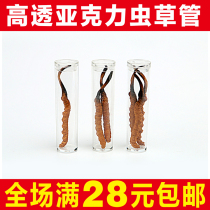 Cordyceps packaging box Cordyceps tube high transparent Cordyceps plastic tube Cordyceps bottle