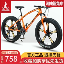 Phoenix mountain bike 24 26 inch beach snow 4 0 oversized wide tire mens and womens variable speed cross-country racing