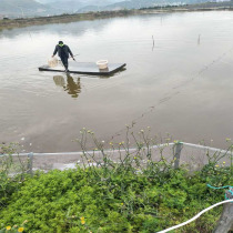 Foam boat farming net flat boat water fishing floating platform solid floating board eva thickened boat material