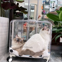 High face value super large transparent pet box portable hand pull rod space cabin dog kitty luggage outside cat bag