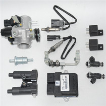 Yongyuan 350 EFI throttle high pressure package ECU injector 335 Earth eagle king igniter Oxygen sensing
