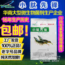 Small peptide pioneer protein feed fertilizer pond nursery to improve the growth rate of shrimp fry to improve the growth rate of food