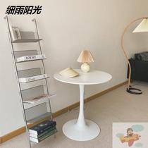 Three or six layers of CD vinyl record disc holders European and American metal grid creative office organization display ins Wind