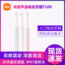 Xiaomi Mijia sonic electric toothbrush T100 brush head Home intelligent waterproof rechargeable male and female students T300