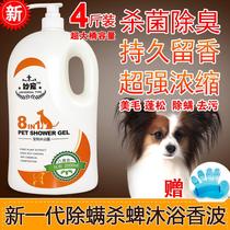 Golden Mullabrador Teddy Stop Itch Dog Body Wash to Taste Bath Lotion Deworming Gently to Yellow Jump Flea