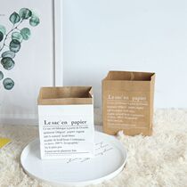 ins Kraft paper bag storage bag Nordic vase home Flower Ware Xihejia thick double-layer living room decoration props