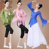 Classical dance body dance dance costume body practice dress yarn coat female classical dance dance practice performance performance suit