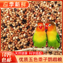 Five-color millet yellow rice millet with Shell millet pillow filled with bird grain 10kg
