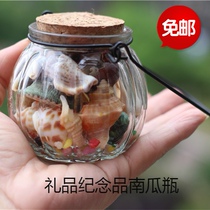 Natural conch shell gift box set Childrens collection gifts souvenirs Fish tank decorative ornaments starfish