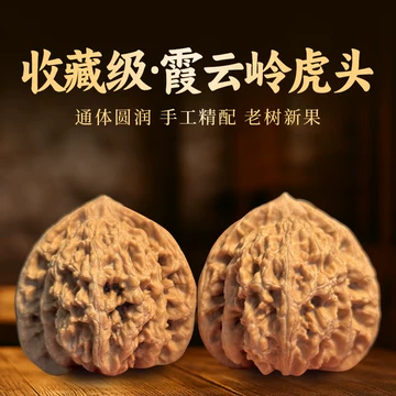 東京文玩育成】文玩核桃 原樹吸血鬼官帽 32x31x43mm 狮子头文玩核桃