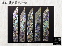 Shell snail shell paint material South Korea imported snail shell shell 5 pieces (no hole)