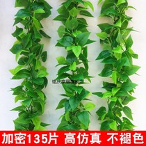 Plastic leaf rattan green vine fake simulation leaves green leaf decoration Green Flower Vine air conditioning tube cover