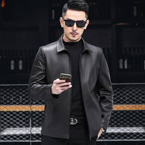 Haining leather leather mens head layer sheepskin lapel thin leather jacket short spring new middle-aged dad outfit