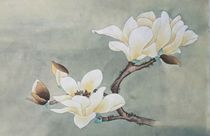 The fine brushwork Chinese painting high-definition material hand-graced propaganda Yulan 1 can be directly colored to shoot three pieces