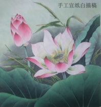 Chinese painting basic meticulous material sketch Lotus 02 manuscript line drawing hand hook familiar propaganda direct color shooting Ren three