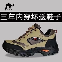 Autumn and winter mens shoes outdoor sports hiking shoes mens casual shoes outsole non-slip waterproof and wear-resistant travel shoes men