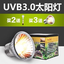 Turtle sunning back bulb turtle light back light turtle light turtle light sunlight turtle light three-in-one turtle Sun turtle Sun turtle light