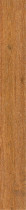 Roman Leo Tile C1215J12 Indonesian Teak