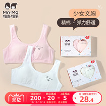 Love little girl girl bra delicate cotton 9-16 years old development Primary School vest anti-bump with chest pad