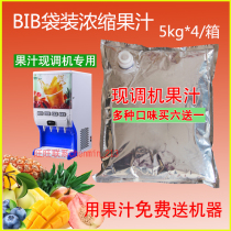 BIB concentrated juicer Special juice concentrated syrup Commercial hot and cold mix machine puree low price