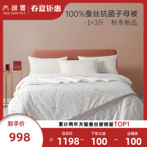 Taihu Snow 100% silk quilted by full cotton antibacterial fabric quilt Spring autumn and winter paragraph by the core mother by the magic grain 1 3 catty
