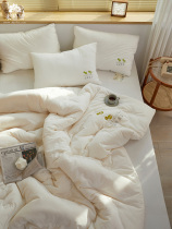 Raw cotton A class of antibiotic-resistant soybean quilt core winter quilt warm and thickened double domestic Spring and autumn quilt Universal Dormitory of Four Seasons