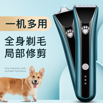 Pet Pooch Shave Kitty Cat Electric Pushcut Teddy Gold Gross Professional Electric Haircut Tweet Trim Shave Hair God