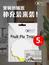 EXPEST fruit fly trap paste home fly-killing artifact wipe out kitchen bug supplement
