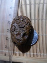 Agate Stone nine eyes shale stone gold and Stone