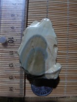 Alashan Gobi Qishi Pictogram stone horse tooth stone Agate rough Gobi Jasper carving material necklace pendant