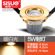 Cesso led spotlight without main light LED recessed living room Nordic Bulleye lamp full set of aristocratic Golden opening 5-6