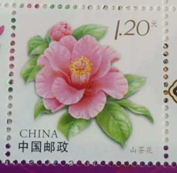 山茶花寄信邮票-山茶花寄信邮票促销价格、山茶花寄信邮票品牌- 淘宝