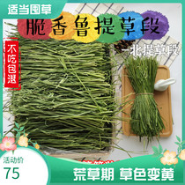 North Tie crisp fragrant ruti grass section main straw stalk leaf equates Timothy Moshe Affordable 3 Catboxes Loaded with Timothy Rabbit Grass