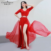 The dance of the city of the new belly dance hot drill drifting gauze uniforms outdoor photo annual Oriental dance opening costume