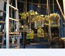European Wrought iron bird cage decoration Bird cage flower cage decoration Bird cage soft decoration Lantern chandelier Bird cage flower rack