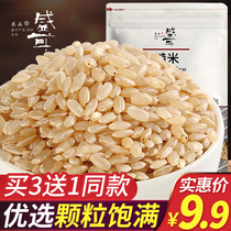 Buy 3 get 1 full ear brown rice 500g new rice brown rice coarse rice coarse rice Rice fitness coarse grain fat reduced rice grains