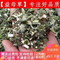 Motherwort Yunnan Chinese herbal medicine dry motherwort 500g Mica grass nine heavy floor kungrass kungrass fresh dry goods