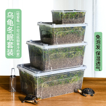Turtle hibernation box for winter supplies Coconut soil Moss sand mat reptile insulation feeding box Tortoise hibernation nest