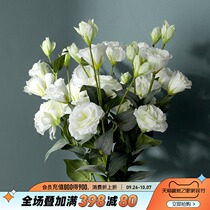 Behan Meiyang orange flower simulation Flower home living room table flower flower flower decoration decorative plastic fake flower bouquet