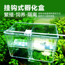 Hook type guppies breeding box fish tank incubator box isolation box tropical fish spawning hatching spawning room Fry juvenile fish